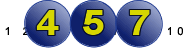 Firmness Scale 457